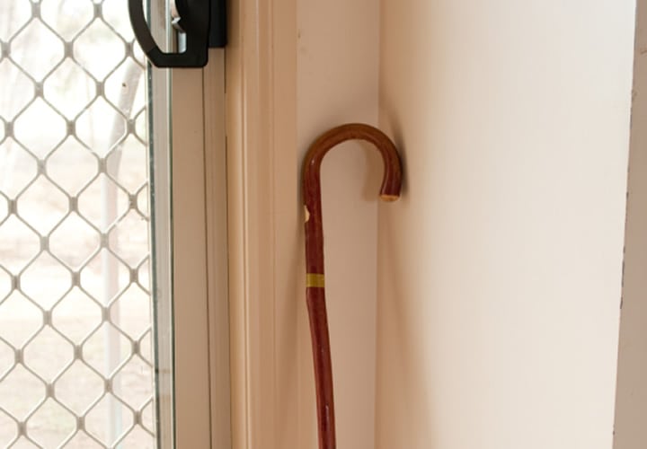 Día del adulto mayor