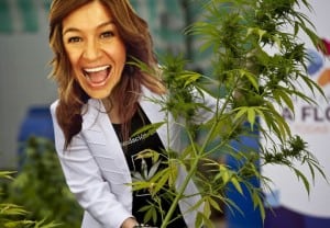 Legalizan la marihuana