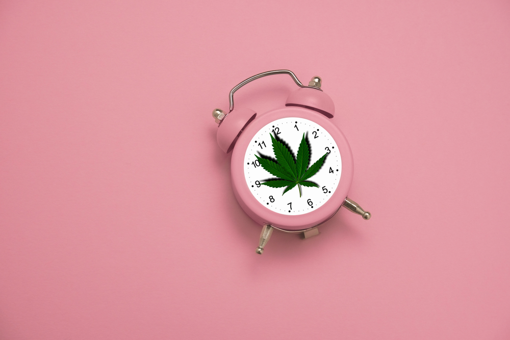 lo que le pasa a tu cuerpo cuando consumes marihuana