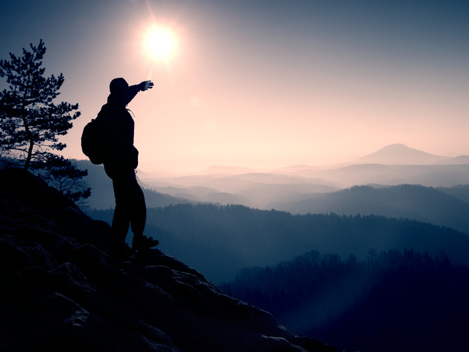 Into the Nature's Wild documental
