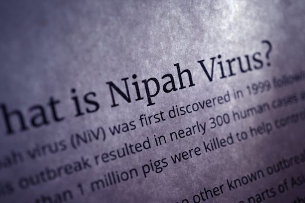 henipavirus