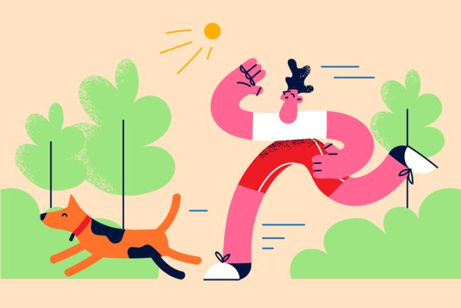 parques para perros ciudad de mexico dog parks cdmx