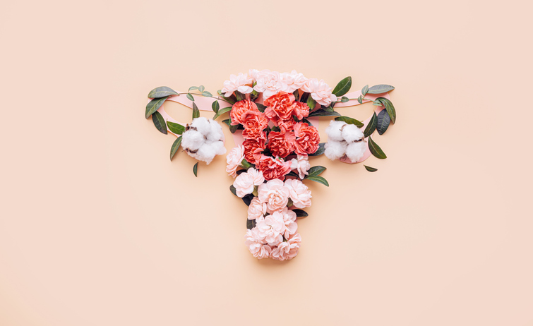 menopausia precoz qué es y cómo afecta