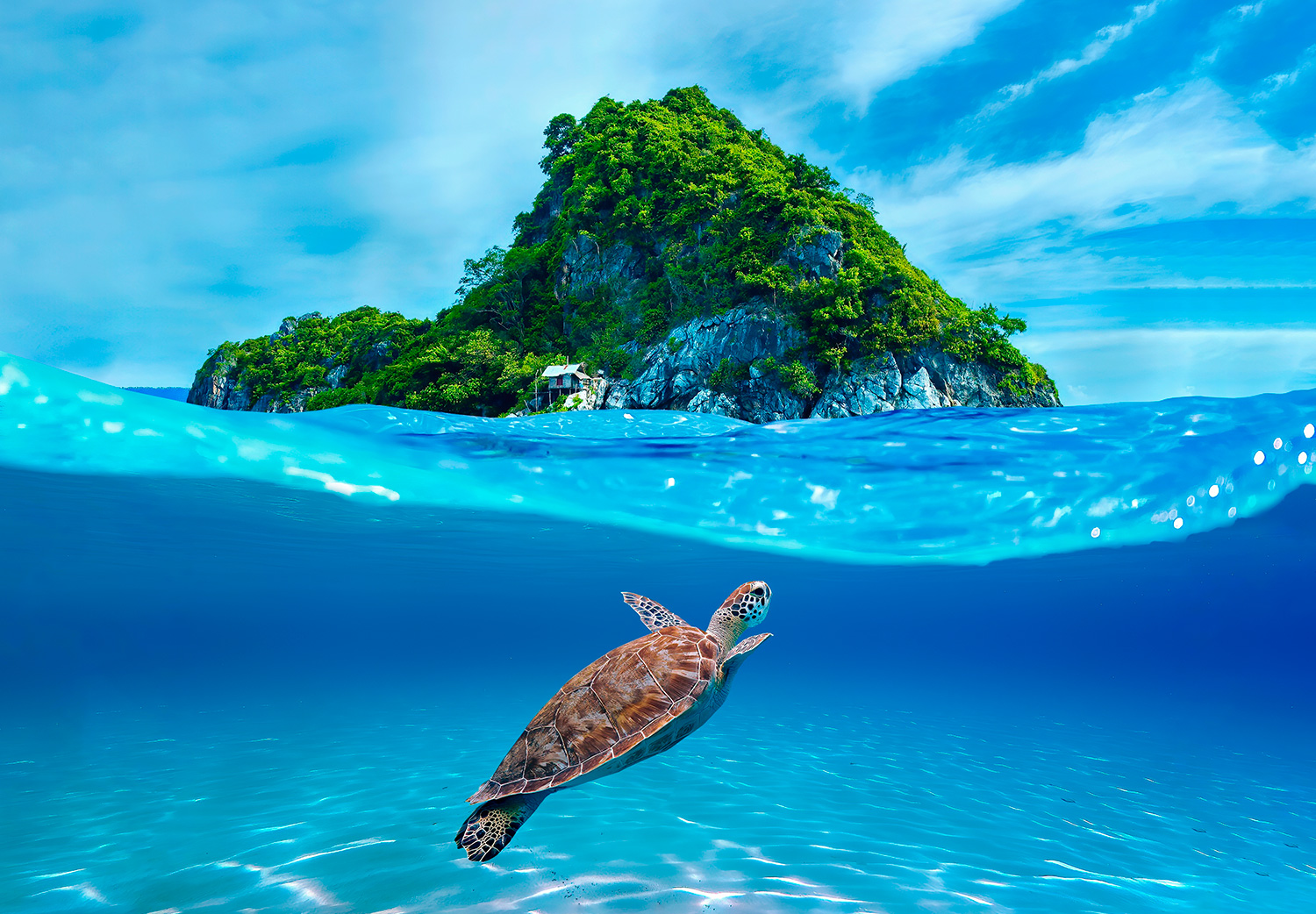 fauna marina