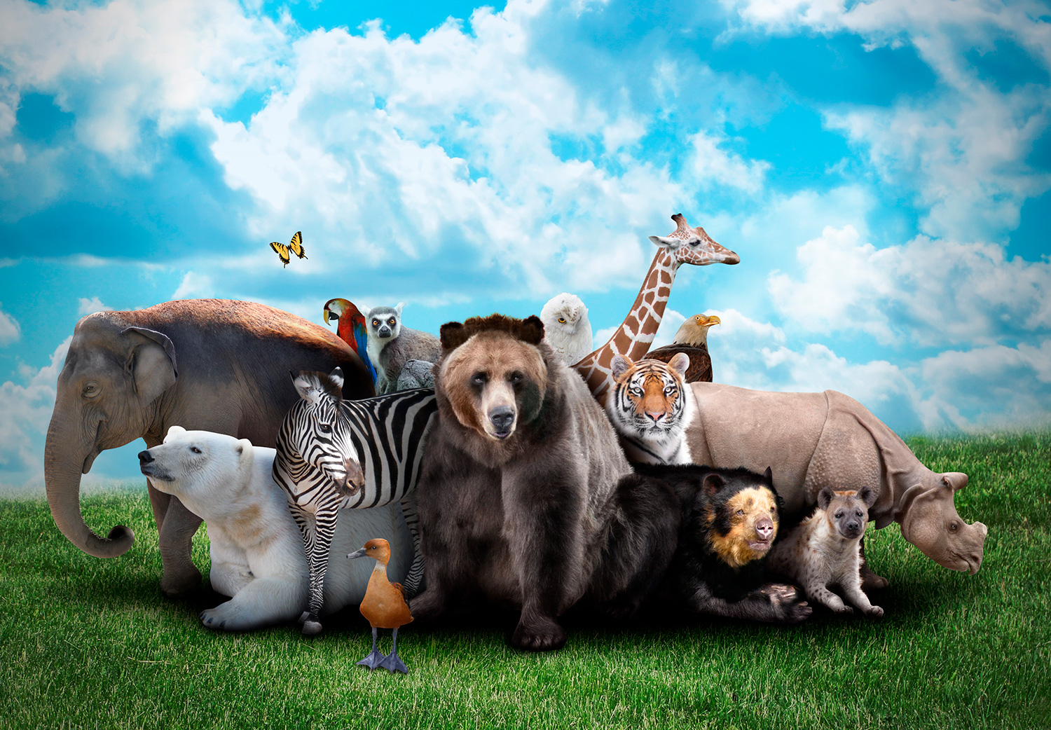 zoofari animales del zoológico