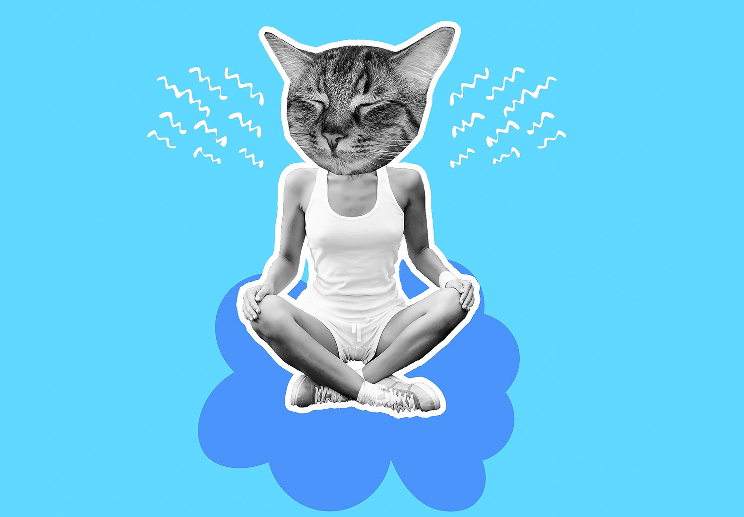 meditar si eres principiante