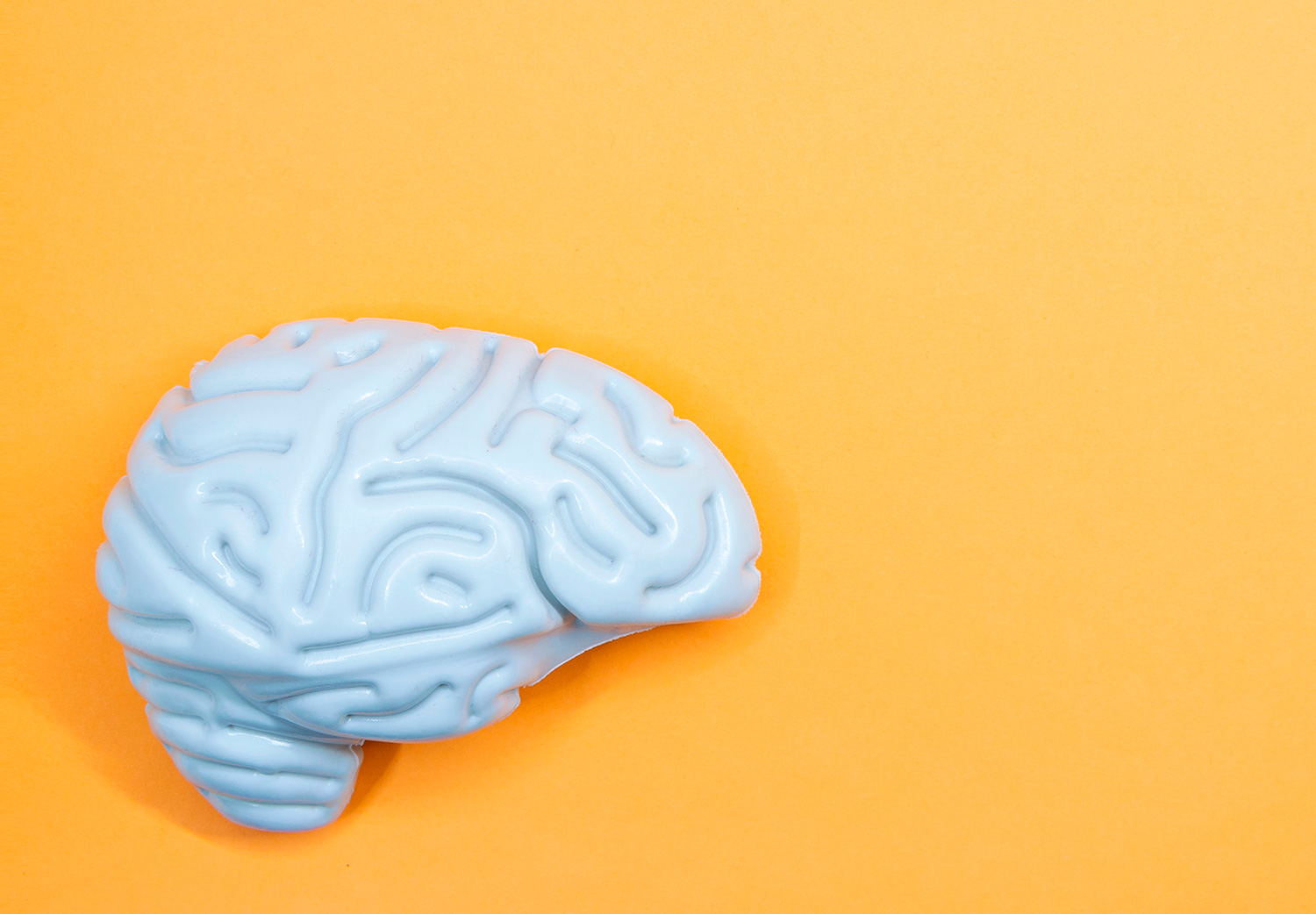 la-corteza-del-cerebro-disminuye-por-la-desigualdad-de-género
