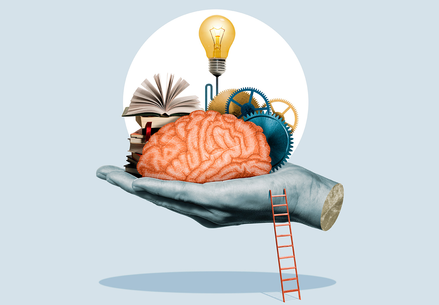facts-sobre-el-cerebro