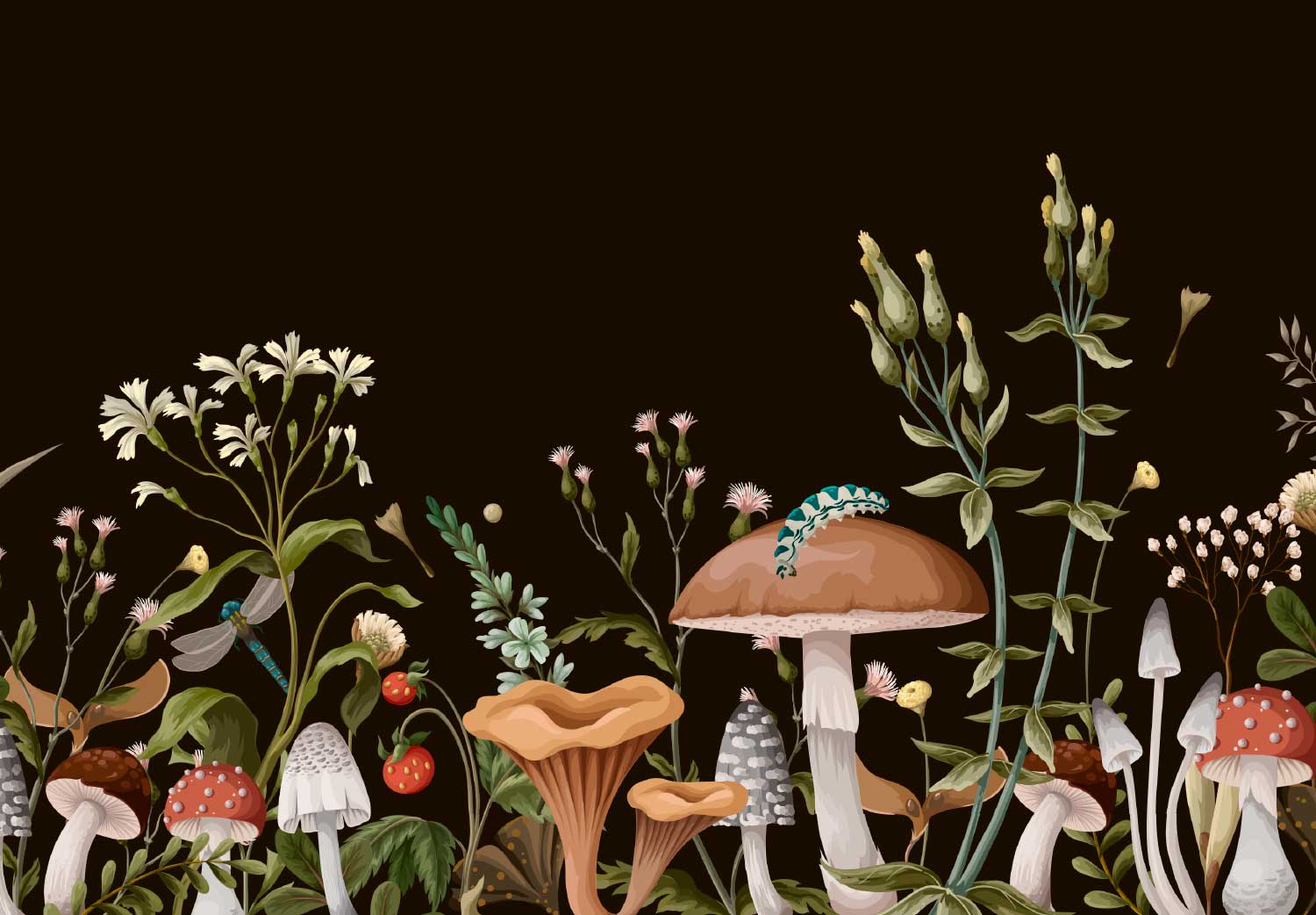 hongos-medicinales