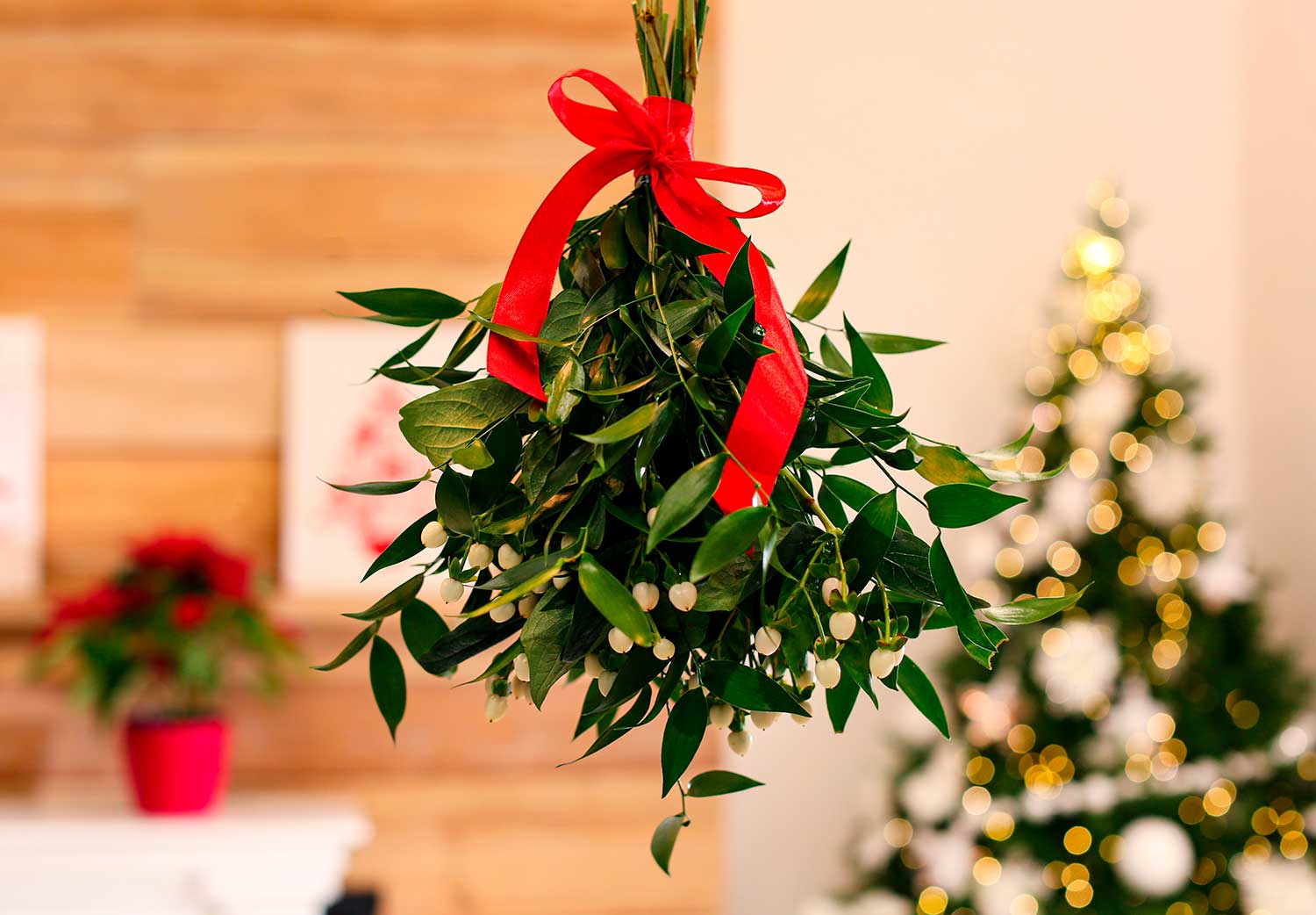 supersticiones-navideñas-al-rededor-del-mundo