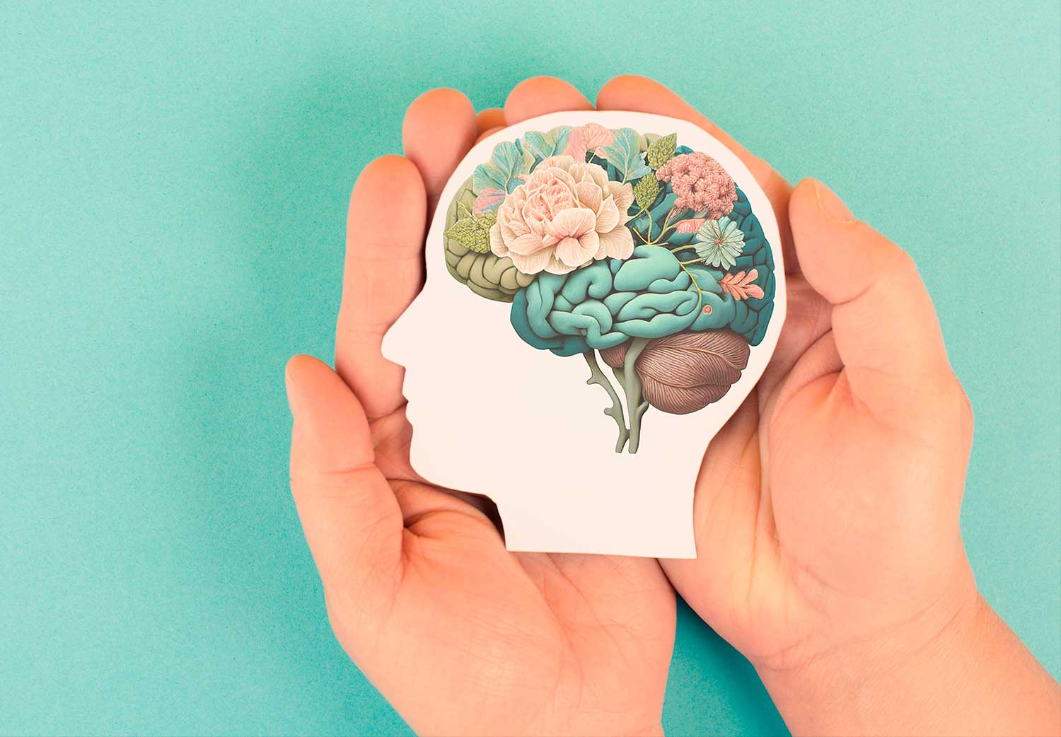 el-cerebro-menstruacion