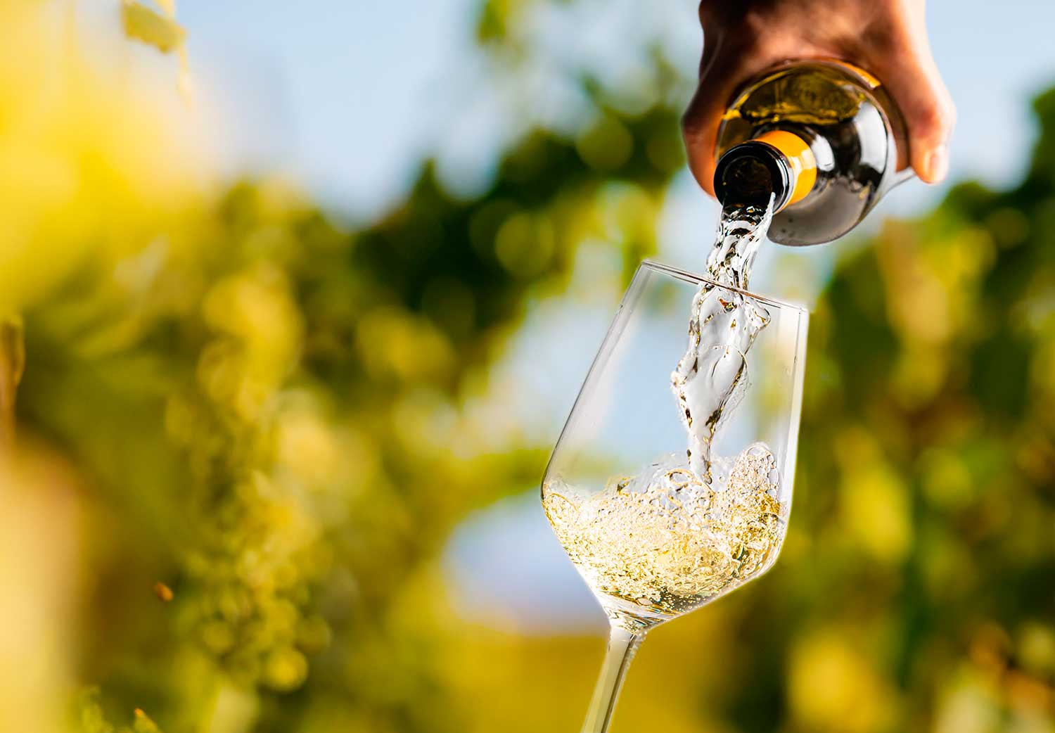 el-vino-baja-la-glucosa