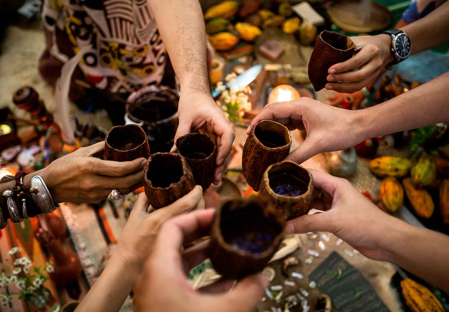 ayahuasca-sapo-kambo-hongos-riesgos